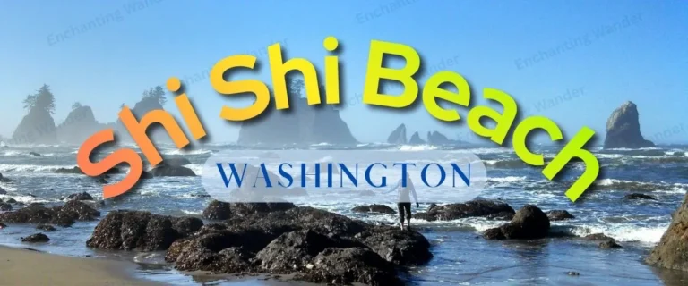 shi-shi-beach-washington