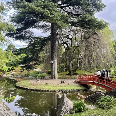 Albert Kahn Musee & Jardins